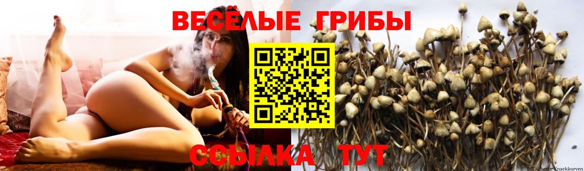 Галлюциногенные грибы Magic Shrooms  Вход с VPN  Нефтекамск 